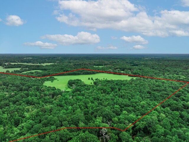 3732 US Highway 84, Palestine, TX 75801