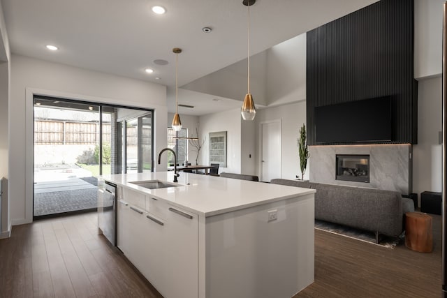 kitchen featuring open floor plan, stainless steel dishwasher, dark wood-style flooring, and a sink
