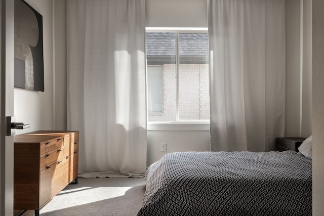 bedroom with carpet