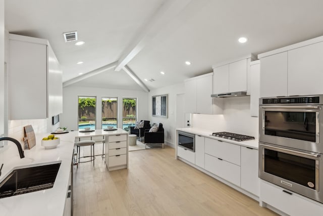 5702 Glen Heather Dr, Dallas, TX 75252 - kitchen with stainless steel appliances, a sink, modern cabinets, light wood-style floors, and tasteful backsplash