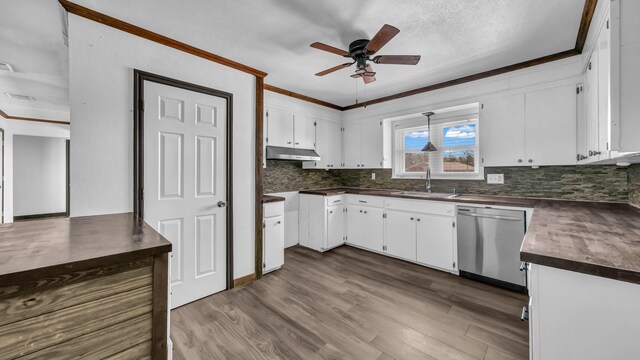 760 College Farm, Stephenville, TX 76401 - kitchen featuring stainless steel dishwasher, a sink, dark countertops, ceiling fan, and under cabinet range hood