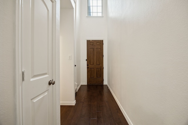 2321 Molly Ln, Plano, TX 75074 - corridor with baseboards and dark wood-type flooring