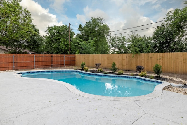 view of swimming pool featuring a patio area, a fenced in pool, and a fenced backyard