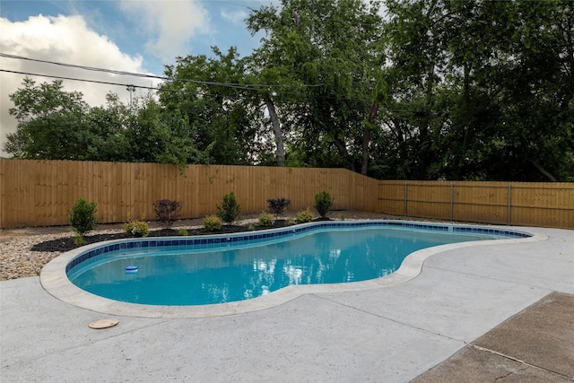 view of pool featuring a patio area, a fenced in pool, and a fenced backyard