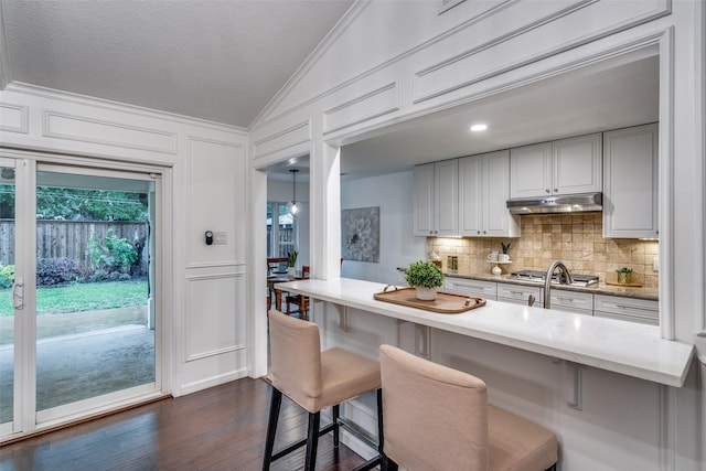 kitchen featuring lofted ceiling, decorative backsplash, dark wood-style floors, under cabinet range hood, and a decorative wall