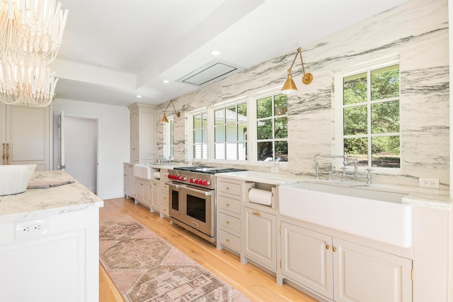 kitchen with light wood-type flooring, plenty of natural light, double oven range, and a sink