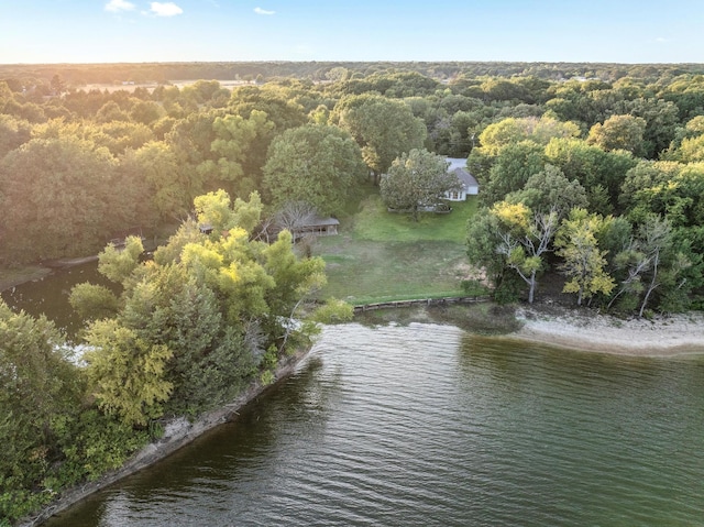 birds eye view of property featuring a water view and a view of trees
