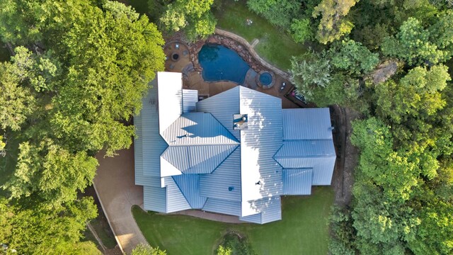 bird's eye view