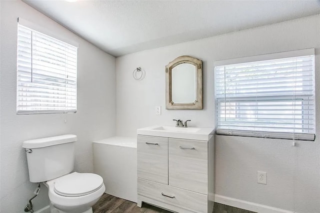 bathroom featuring toilet, wood finished floors, and vanity