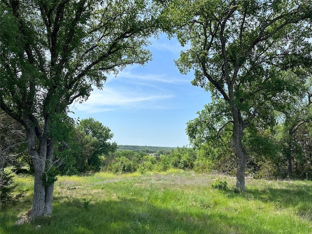 view of nature with a wooded view