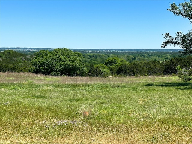 view of landscape with a rural view and a view of trees