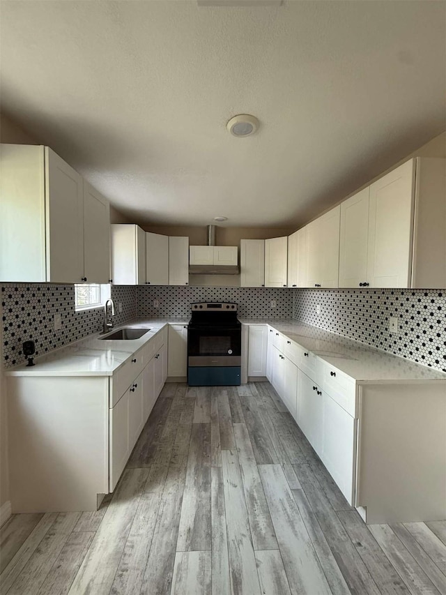 2726 Kellogg Ave, Dallas, TX 75216 - kitchen with ventilation hood, stainless steel range with electric stovetop, decorative backsplash, and a sink