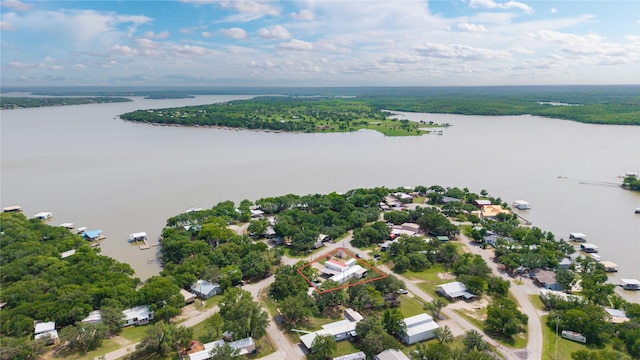 4991 Thunderbird Dr, May, TX 76857 - bird's eye view with a water view and a forest view