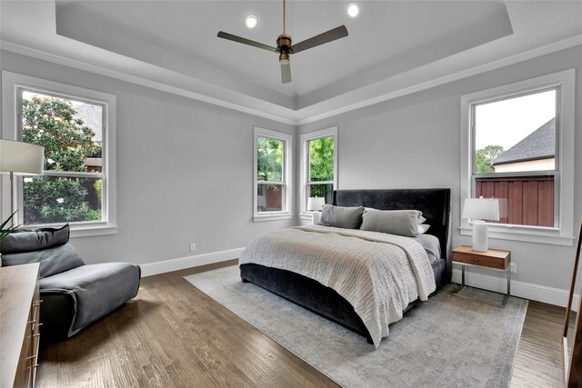 bedroom with baseboards, a raised ceiling, wood finished floors, and multiple windows