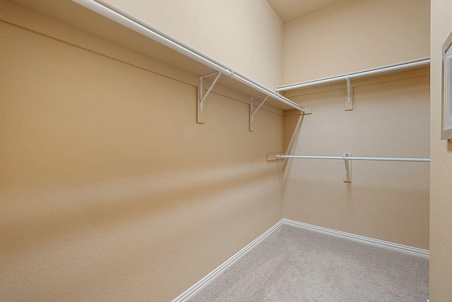 walk in closet with carpet floors