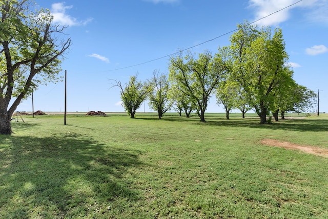 view of yard featuring a rural view