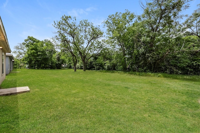 932 Dawson St, Waco, TX 76704 - view of yard