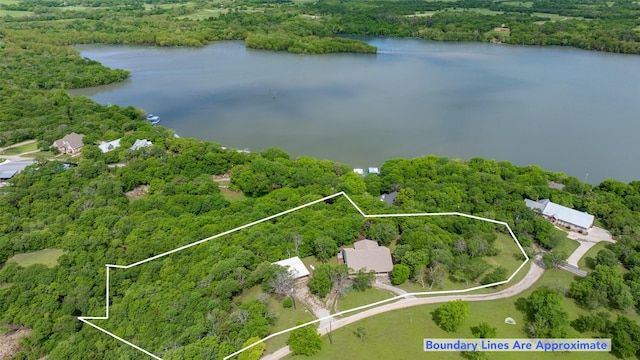 bird's eye view with a water view and a forest view