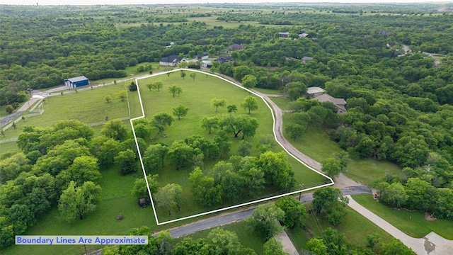 bird's eye view