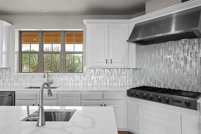 727 S Sugartree Dr, Lipan, TX 76462 - kitchen featuring white cabinetry, tasteful backsplash, a sink, stainless steel appliances, and wall chimney exhaust hood