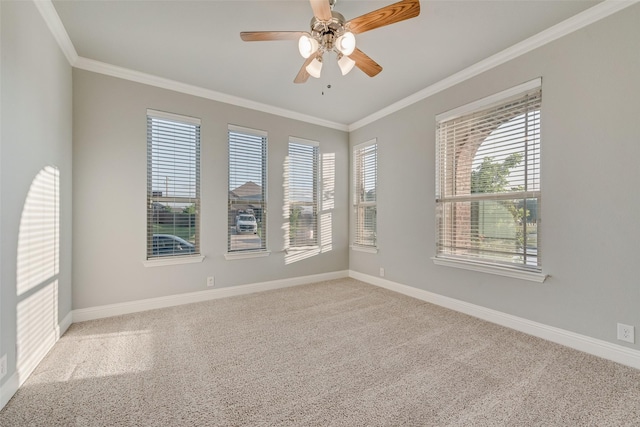 unfurnished room with ornamental molding, ceiling fan, carpet, and baseboards