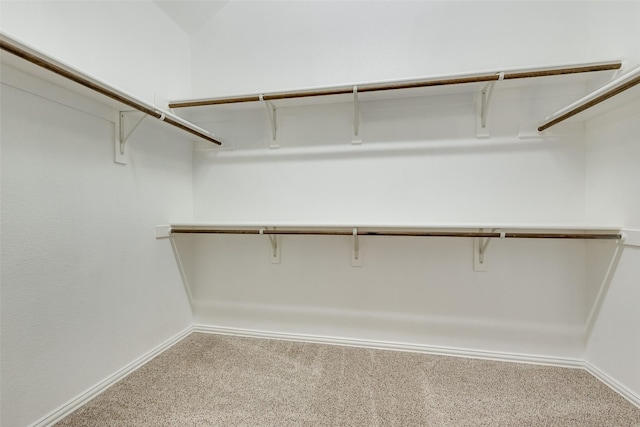 walk in closet with carpet flooring