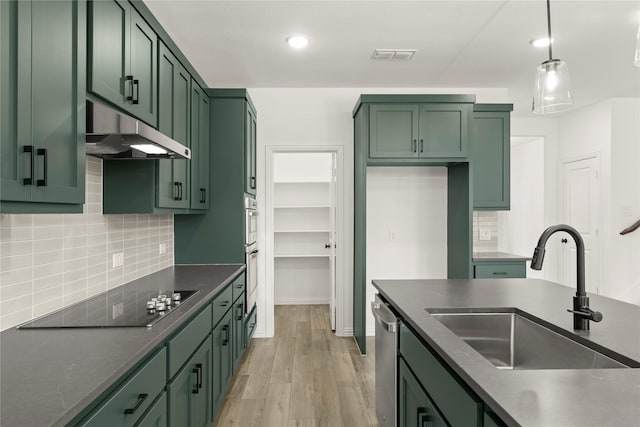 802 Roanoke, Princeton, TX 75407 - kitchen with green cabinetry, a sink, under cabinet range hood, black electric stovetop, and light wood-style floors