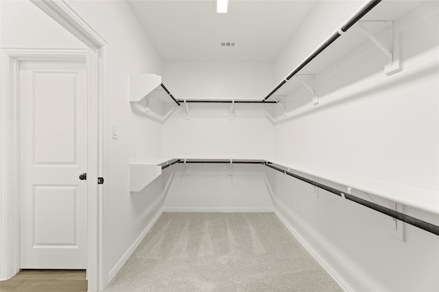 802 Roanoke, Princeton, TX 75407 - walk in closet with light colored carpet