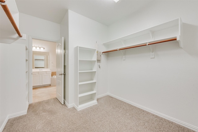walk in closet featuring light colored carpet