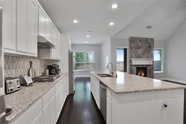 kitchen with appliances with stainless steel finishes, under cabinet range hood, a sink, dark wood-style floors, and visible vents