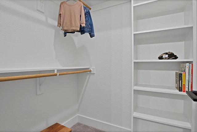 108 Grace View Rd, Weatherford, TX 76088 - walk in closet with carpet floors