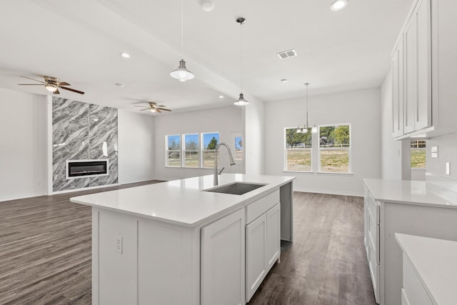 kitchen with dark wood-type flooring, plenty of natural light, and a sink