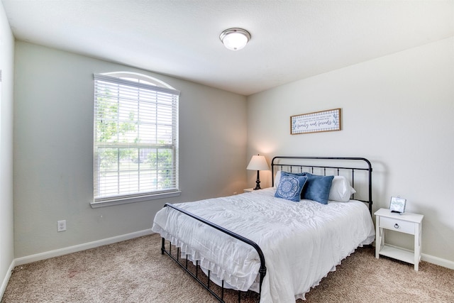 300 Copper Switch Dr, Anna, TX 75409 - carpeted bedroom featuring baseboards and multiple windows