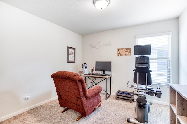 300 Copper Switch Dr, Anna, TX 75409 - office featuring carpet flooring and baseboards