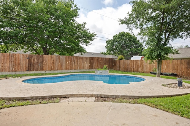 view of pool featuring a fenced in pool, a fenced backyard, and a patio area