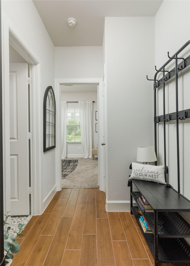 mudroom featuring baseboards and wood finished floors