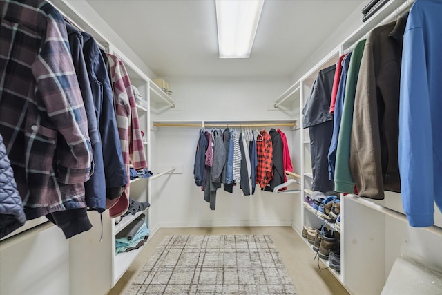 view of spacious closet