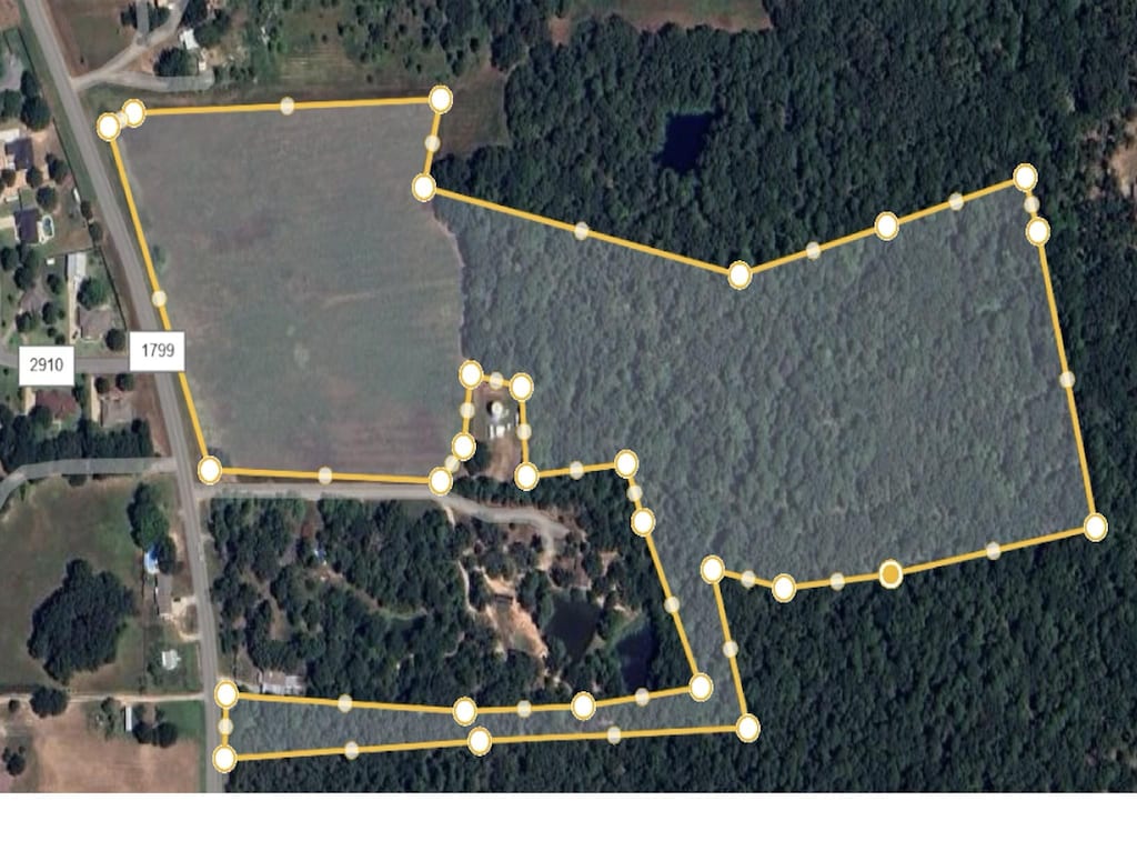 TBD Fm 1799, Mineola, TX 75773