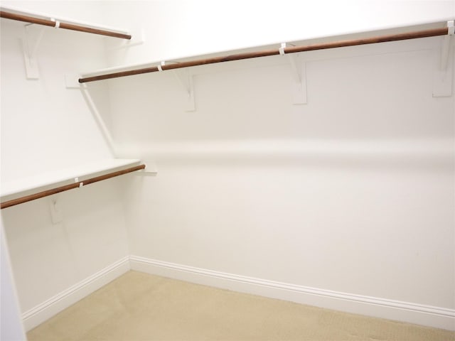 1852 Audubon Pond Way, Allen, TX 75013 - walk in closet featuring light colored carpet