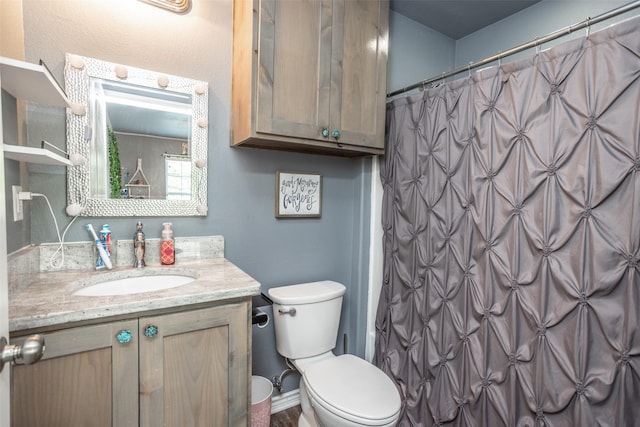 full bathroom featuring toilet, a shower with curtain, and vanity