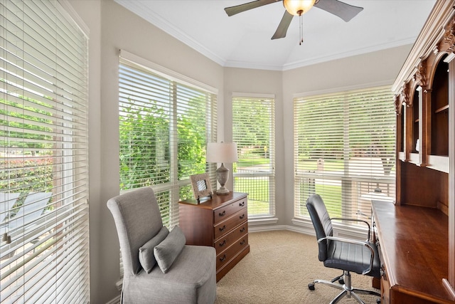 carpeted office featuring a ceiling fan and crown molding
