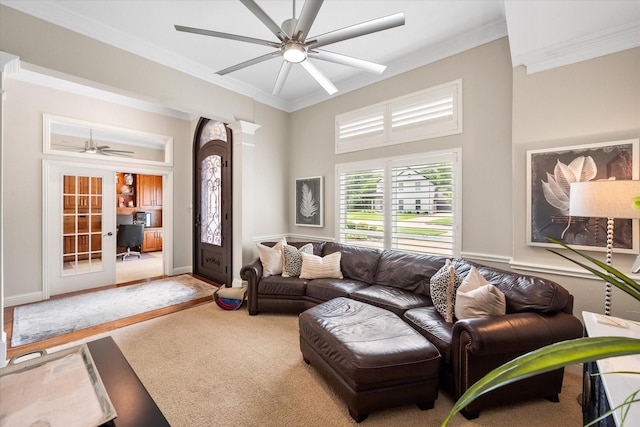 living room with a ceiling fan, carpet flooring, and crown molding