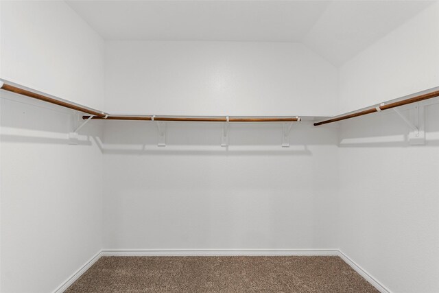walk in closet with carpet