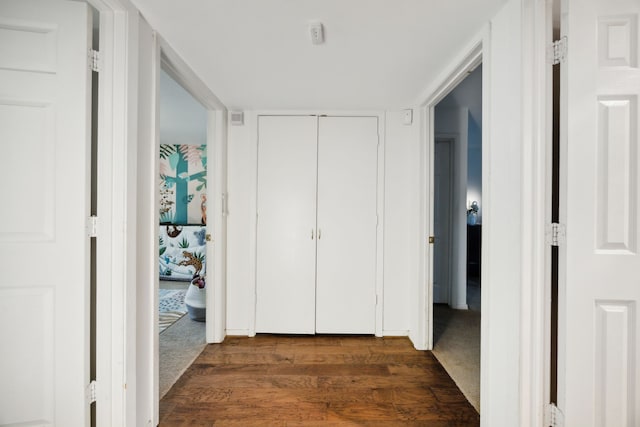 hallway with dark wood finished floors