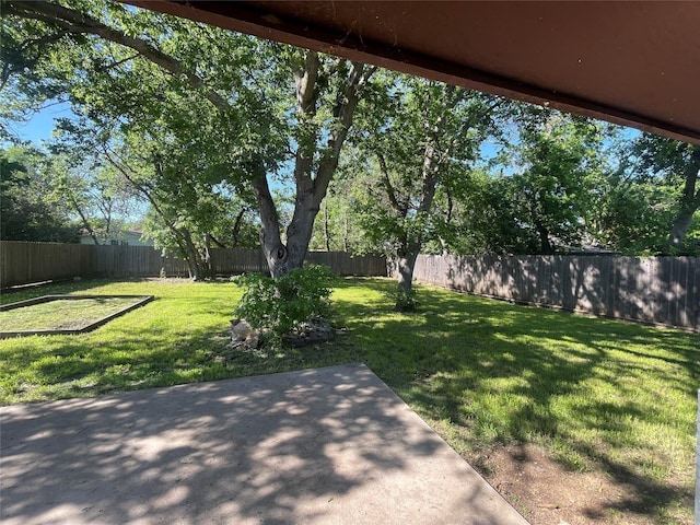 view of yard with a fenced backyard and a patio area