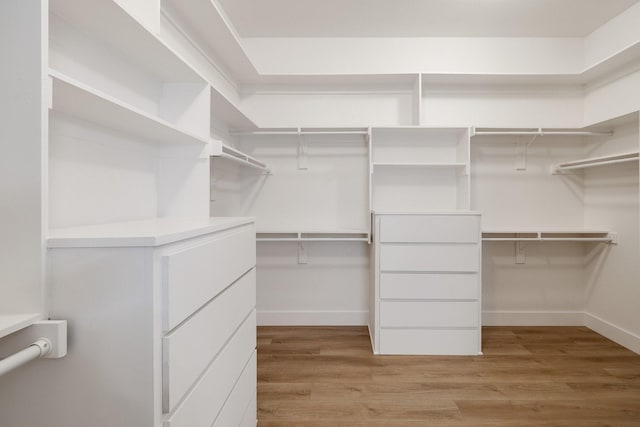 walk in closet featuring light wood-type flooring
