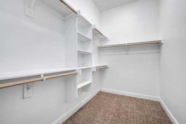 walk in closet featuring carpet