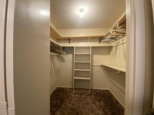 spacious closet with dark carpet
