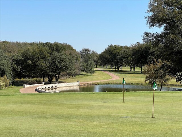 12060 Westmeadow Dr, Whitney, TX 76692