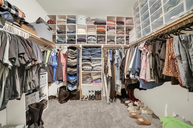 walk in closet with carpet flooring